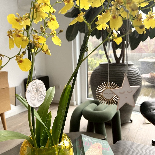 Søde ophæng til dekoration rundt i hjemmet - De kan bruges utallige af steder, som eksempelvis i en flot buket blomster, som vist her på billedet.