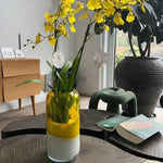 Glas vase i gule toner - Perfekt til at friske hjemmet op med - Forfriskemde farve og design