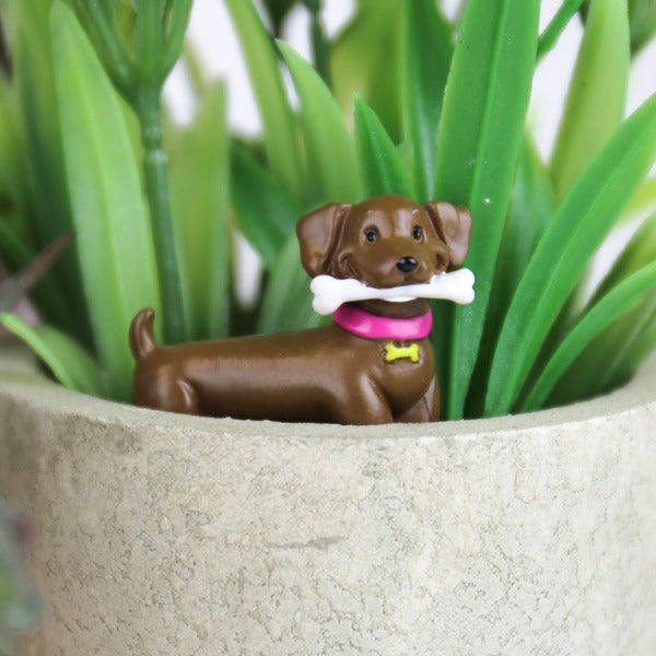 Sjove mini hunde til pyntning af dine urtepotter for at skabe en lille sjov detalje. Hvilken hund er din favorit ? Online hos RAUMTRAUM.dk