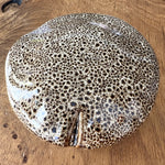 Sød og meget naturtro keramik svamp - Kan anvendes alene, som pynt på hylden, eller brug den i kombination med de andre svampe fra samme kollektion. 