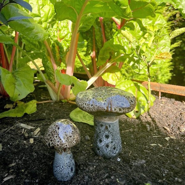 Dekorative svampe til højbedet