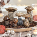 Finurlige svampe i skønne brunlige toner - Det skønneste svampe - design - Kan anvendes til rigtig mange ting - Mulighederne er mange.