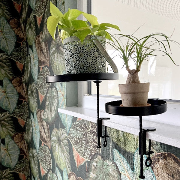 Grønne metalbakker monteret på vindueskarm med grønne planter.