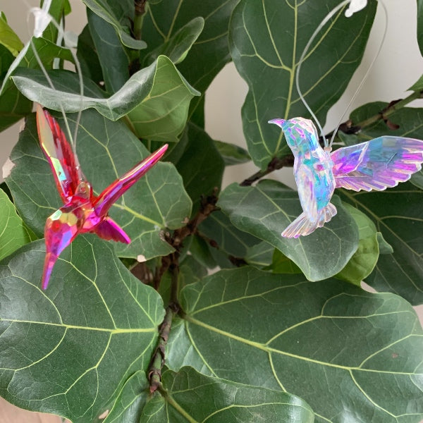 Dekorative mini kolibrier til at hænge op til pynt