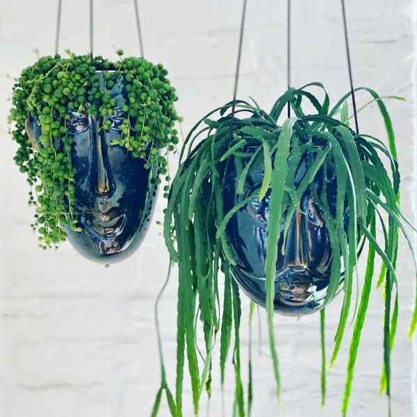 Smukke urtepotter online her - Pift dit hjem op med flotte hængepotter til loftet fra RAUMTRAUM.dk - Perfekt til mange indendørs planter - Alle ordrer leveres lige til døren.
