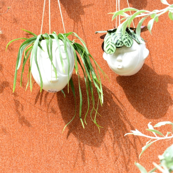 Hængeurtepotte i hvid med sjovt ansigt - Hvordan hænger man en plante op i loftet? Hængeplanter såsom Hjerteranke, Guldranke og kinesisk pengetræ er optimale at sætte i en af de smukke hængepotter, som du kan finde på RAUMTRAUM.dk 