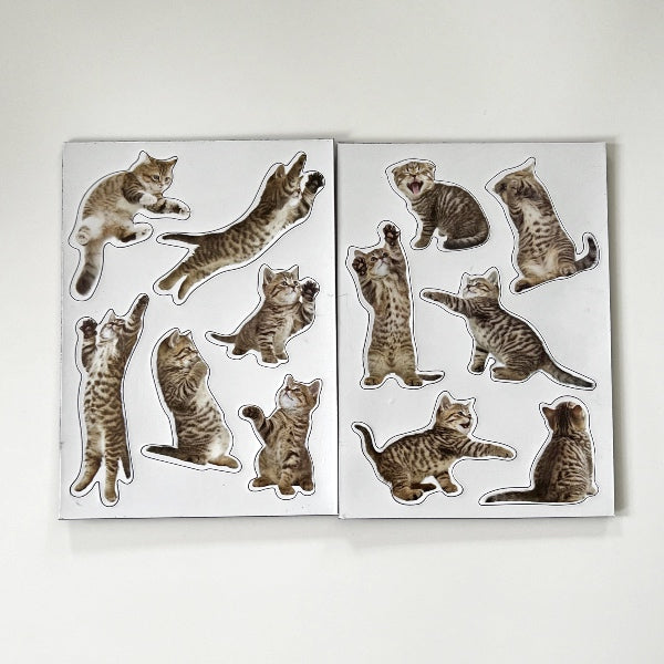 Sjove magneter som alle katteelskere ville være vilde med - Kattemagneterne er en sjov gave til børn.